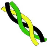 Green Belt Semipresencial 3 días