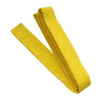 Six Sigma Yellow Belt